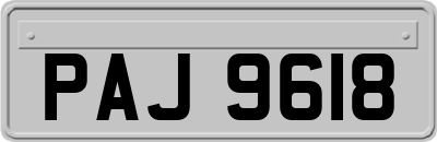 PAJ9618