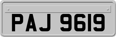 PAJ9619