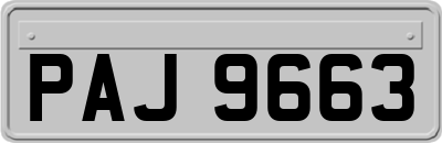 PAJ9663