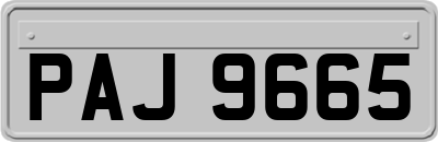 PAJ9665