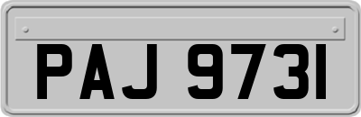 PAJ9731