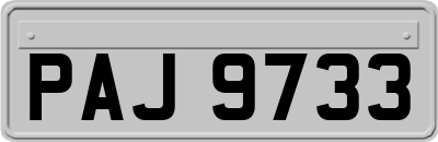 PAJ9733