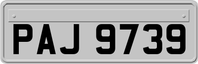 PAJ9739