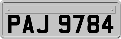 PAJ9784