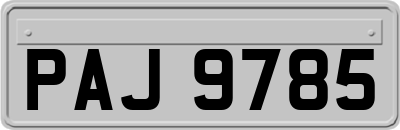 PAJ9785