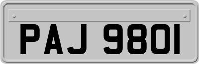 PAJ9801
