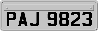 PAJ9823
