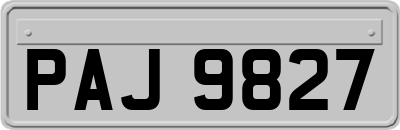 PAJ9827