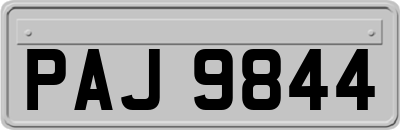 PAJ9844