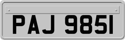 PAJ9851