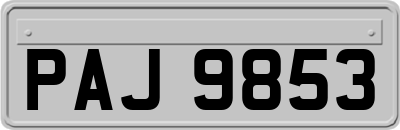 PAJ9853