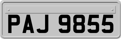 PAJ9855