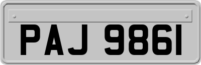 PAJ9861