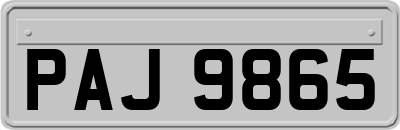 PAJ9865