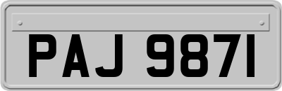 PAJ9871