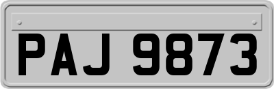 PAJ9873