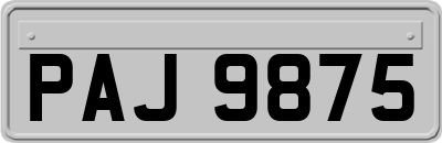 PAJ9875