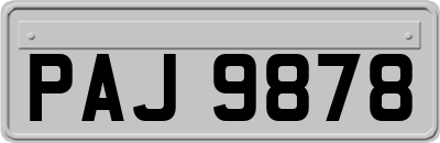 PAJ9878