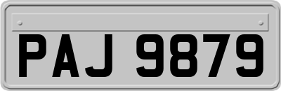PAJ9879