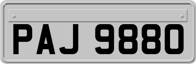 PAJ9880