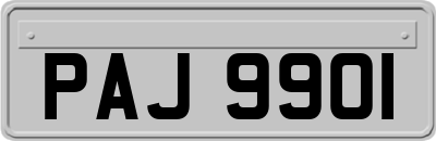 PAJ9901