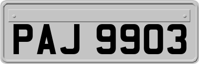 PAJ9903