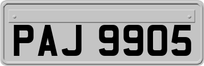 PAJ9905