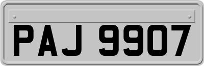 PAJ9907