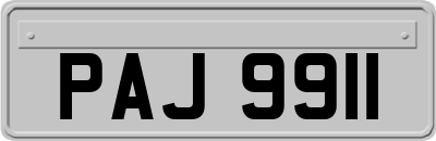 PAJ9911