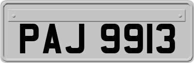 PAJ9913