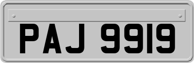 PAJ9919