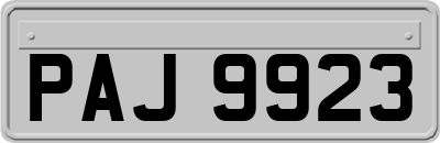 PAJ9923