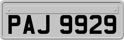 PAJ9929