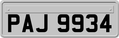 PAJ9934