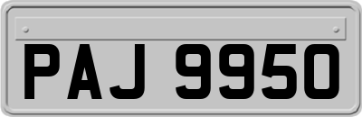 PAJ9950