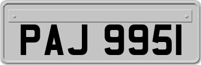PAJ9951
