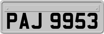 PAJ9953