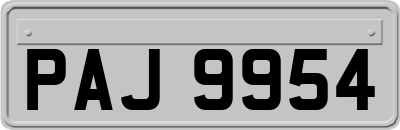 PAJ9954