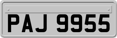 PAJ9955