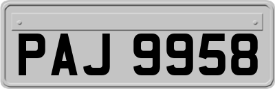 PAJ9958