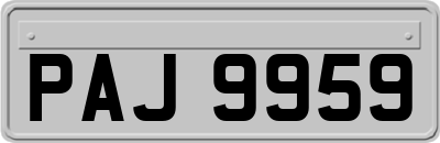 PAJ9959