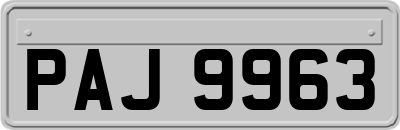 PAJ9963