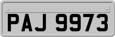 PAJ9973