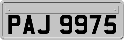 PAJ9975
