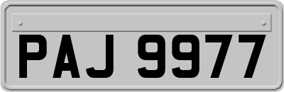 PAJ9977