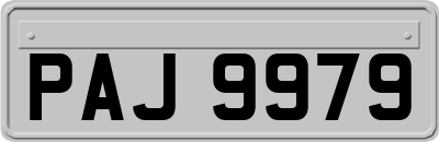 PAJ9979