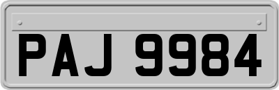 PAJ9984