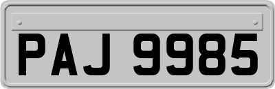 PAJ9985
