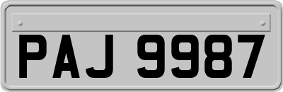 PAJ9987
