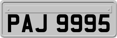 PAJ9995